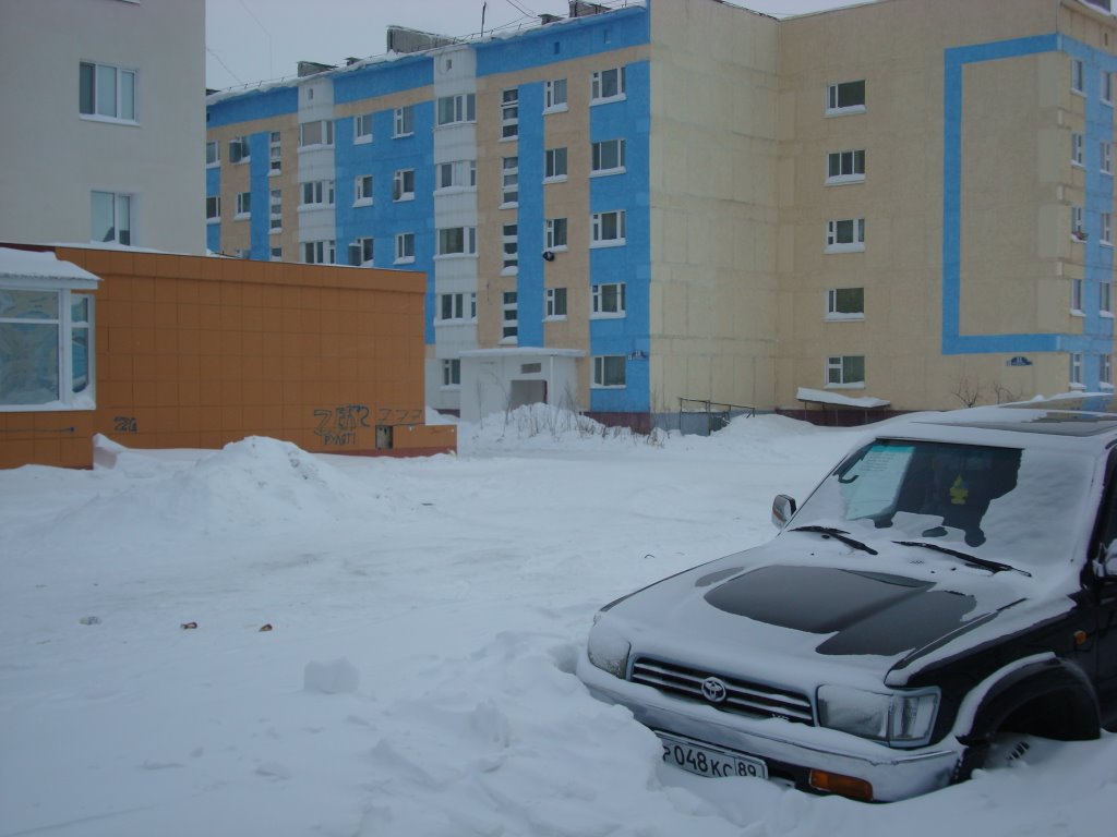замело