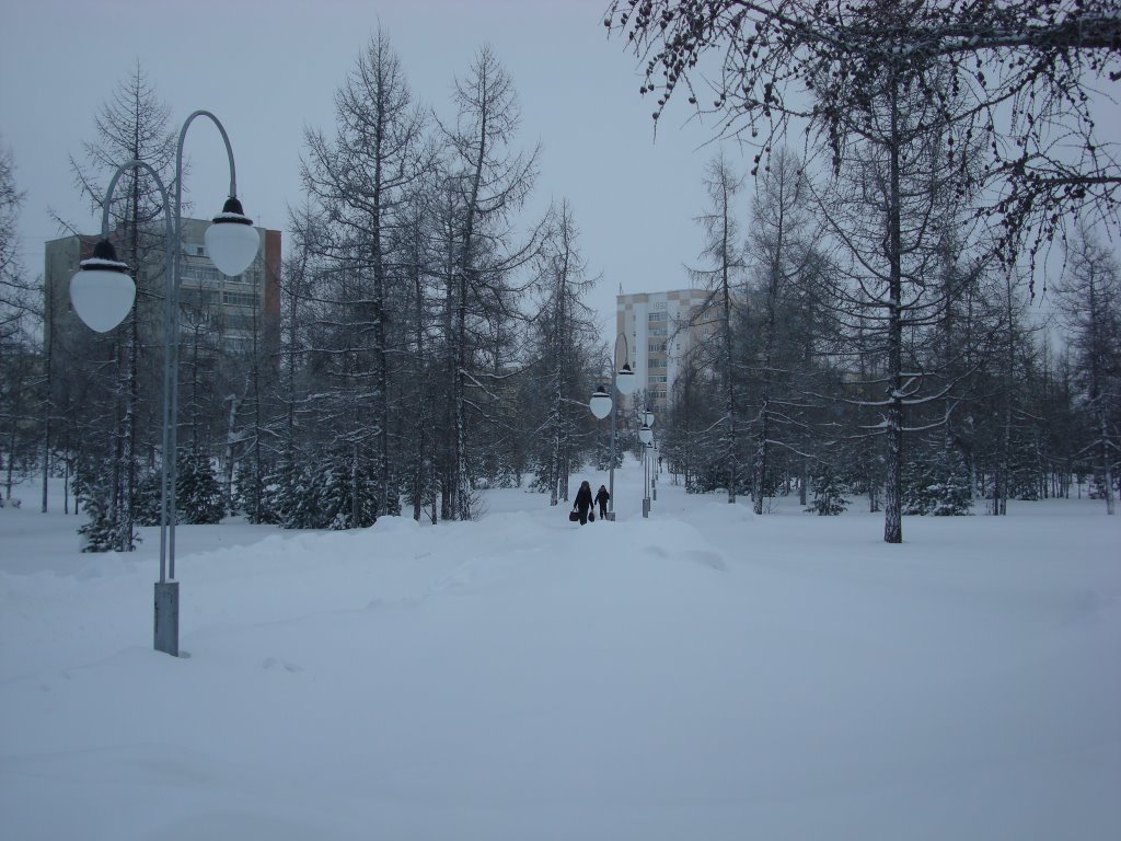 парк Зимой