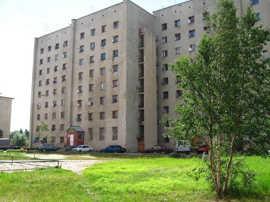 Зверева 3/1 - 2006 год