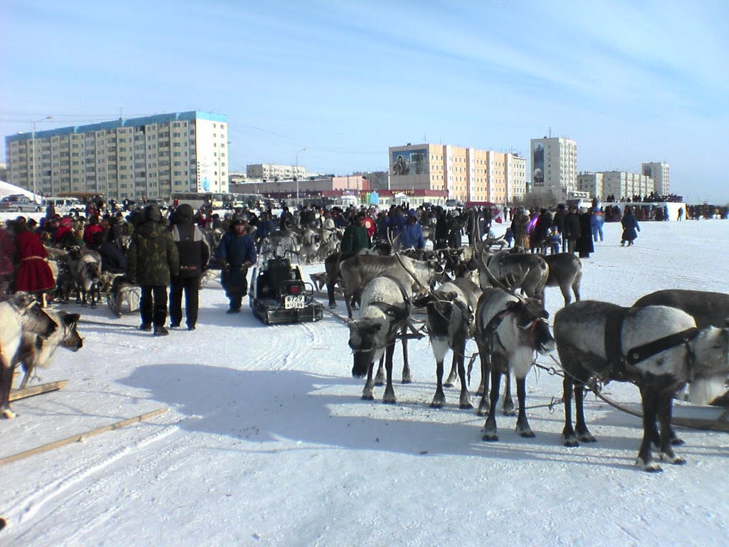 день оленевода
