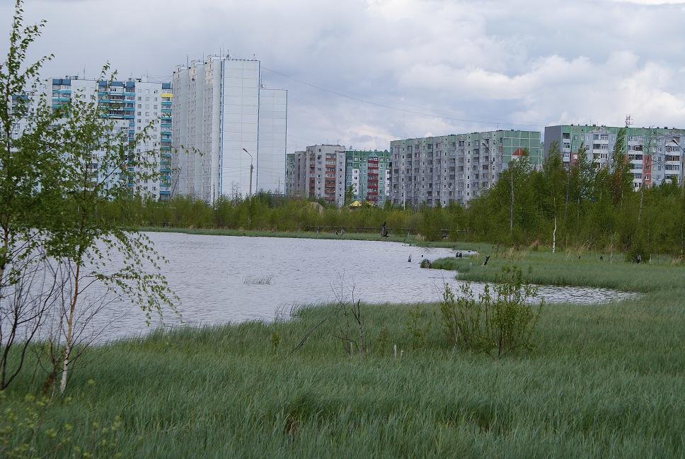 Озеро Комсомольское.г.Нижневартовск