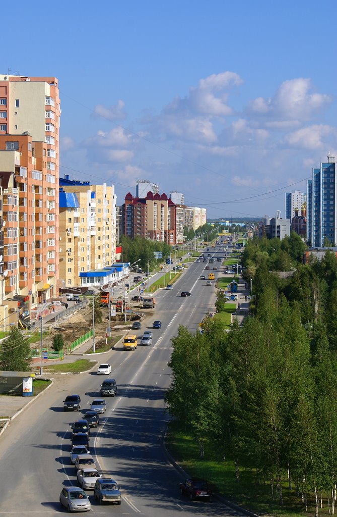 Вид на улицу 60 лет Октября с колеса обозрения