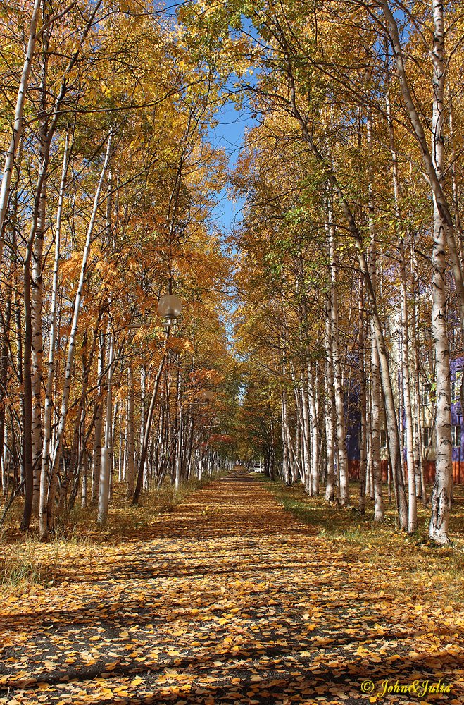 *** Street Pioneer in the autumn. Nizhnevartovsk, 2009 ***