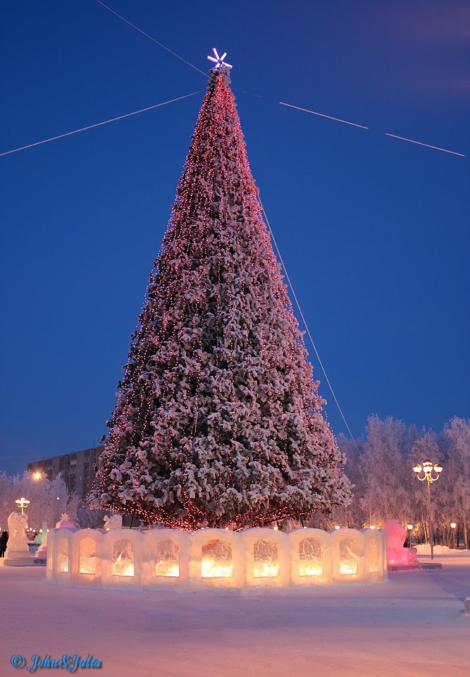 *** City New Years tree ***