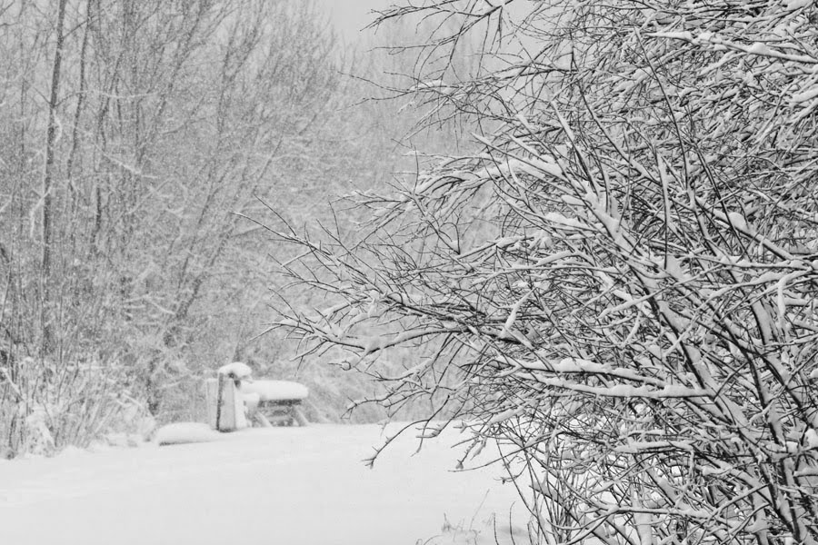 April snowstorm