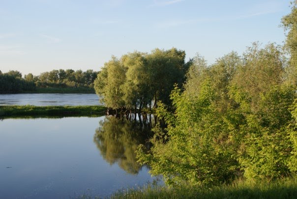 впадение р. Саранки в р. Тавда