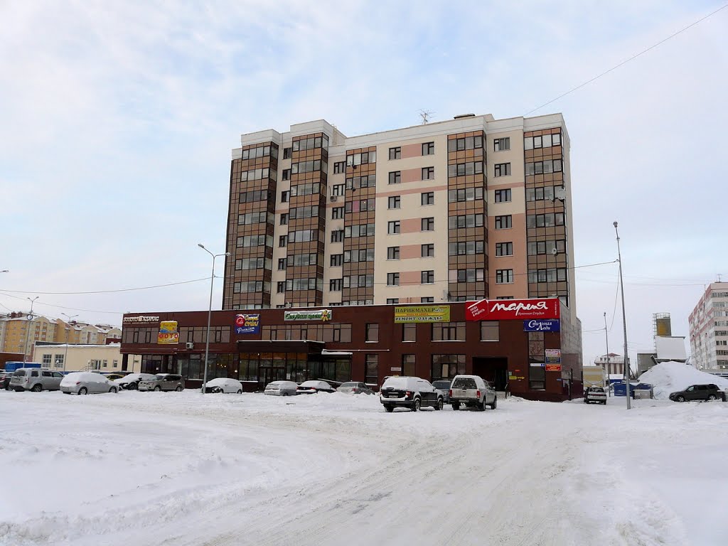 NOVYY URENGOY 11.2013