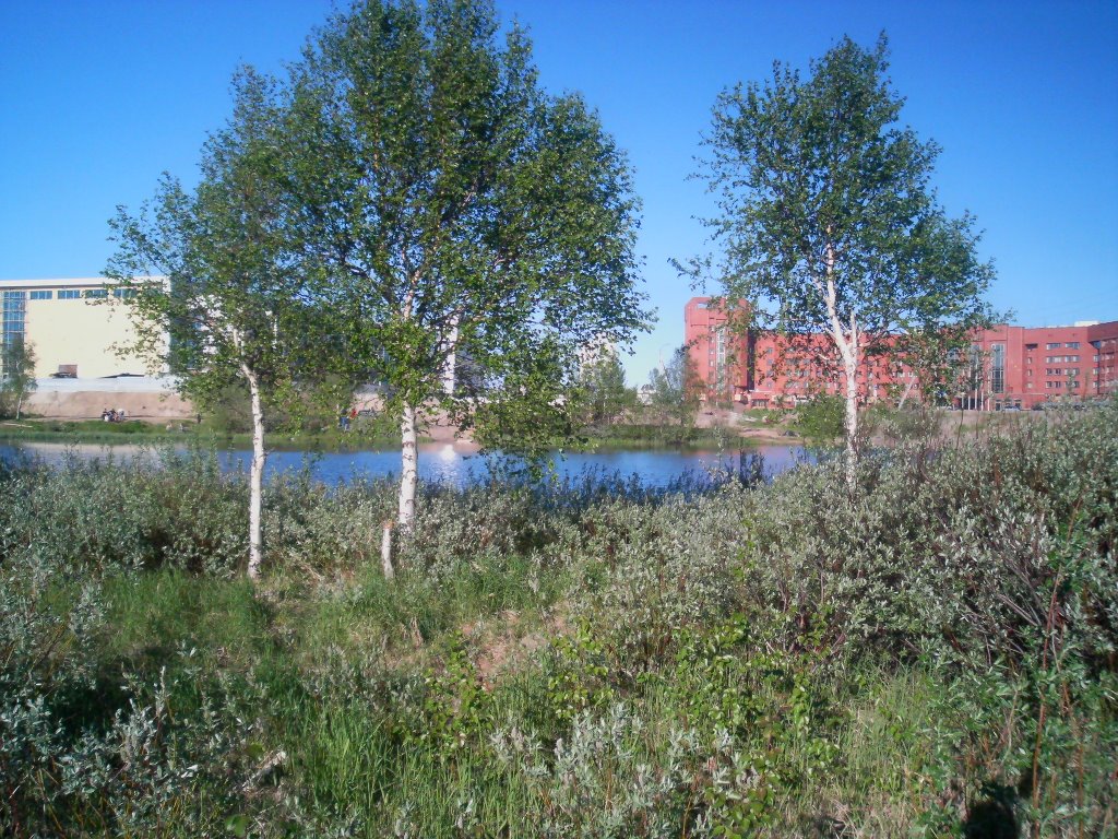 molodezhnoe