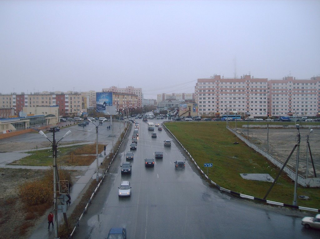 Вид с виадука