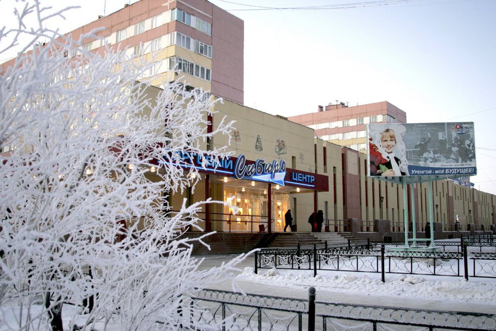 Новый Уренгой. Ноябрь 2008. Уже зима.