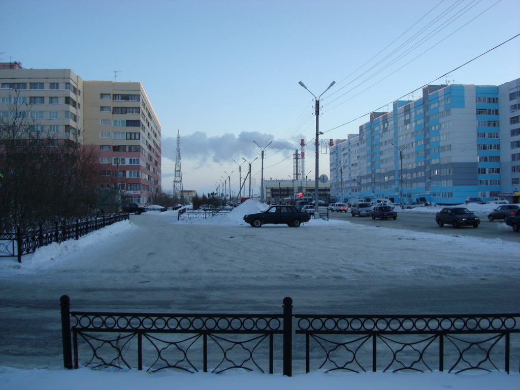 Ленинградский зимой