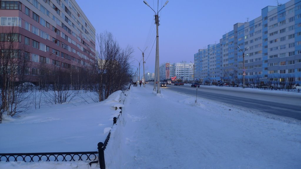 на улице Нового Уренгоя