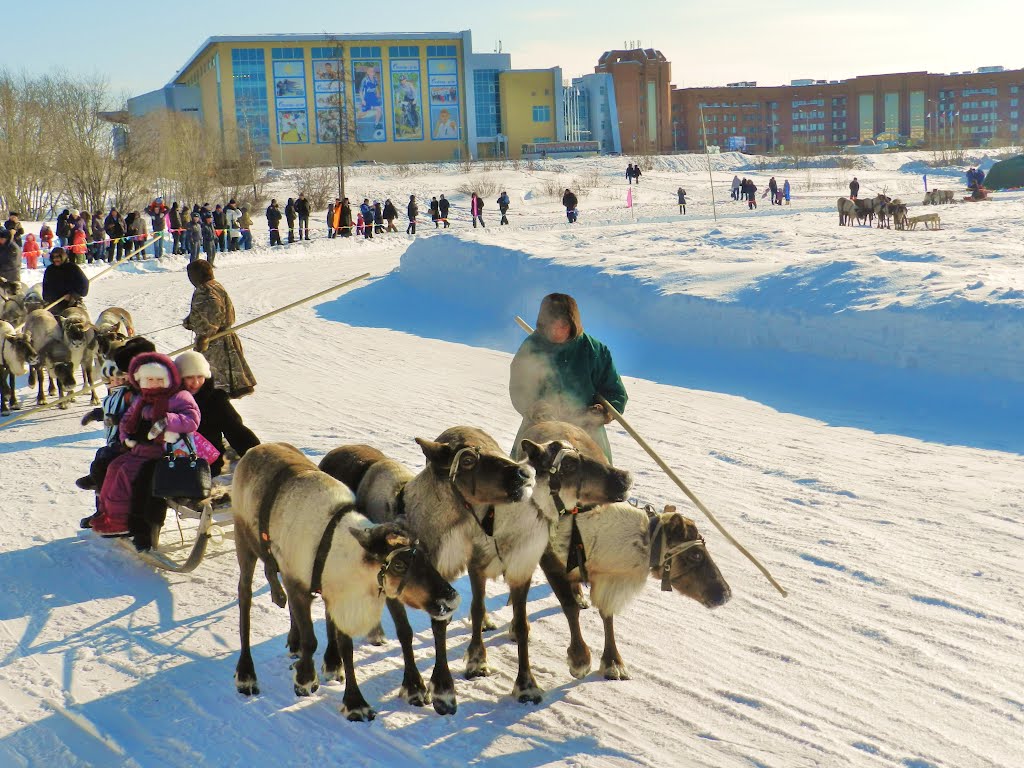 На Празднике народов севера - катание на оленях.