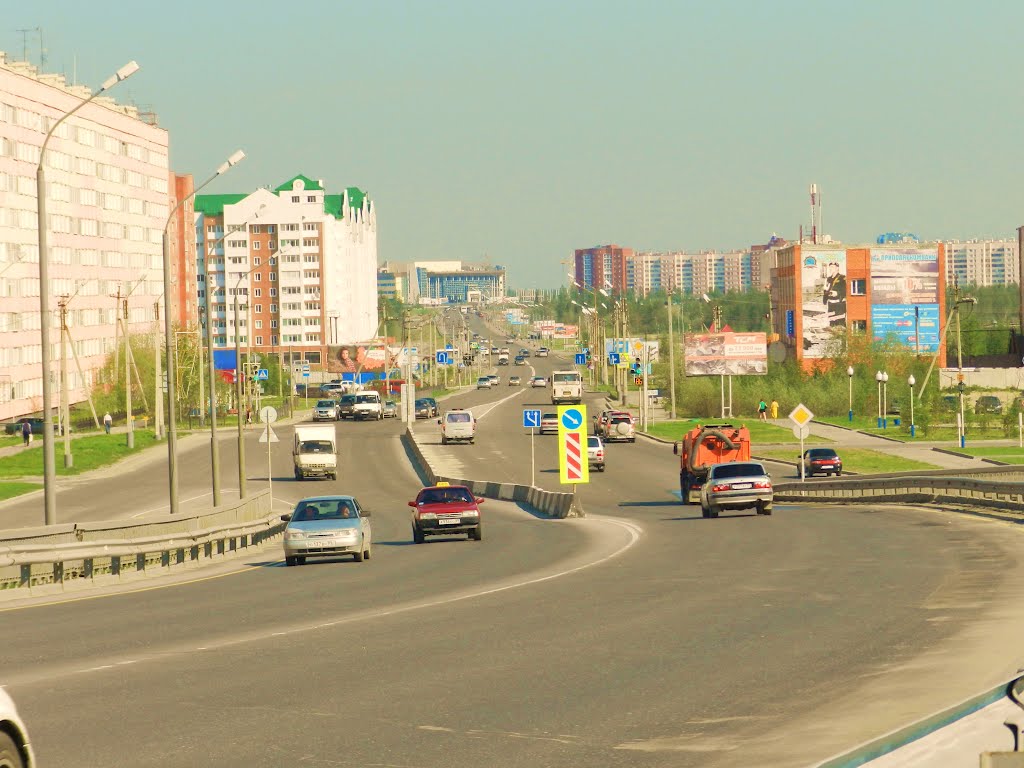 Вид на ул. Губкина и Северную магистраль.