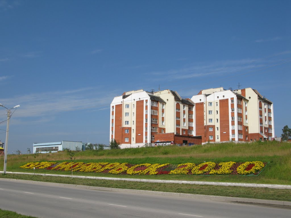 ► Ноябрьск - 2010 год.   *