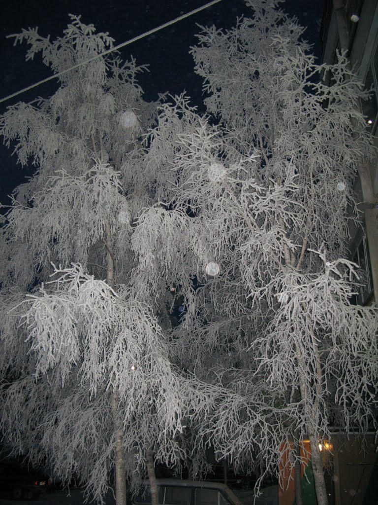 ►  Кружево зимы.   *