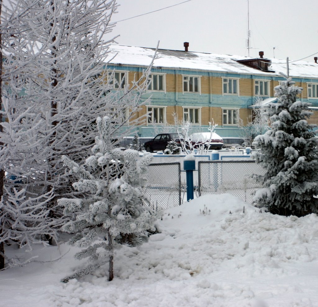 Winter landscape