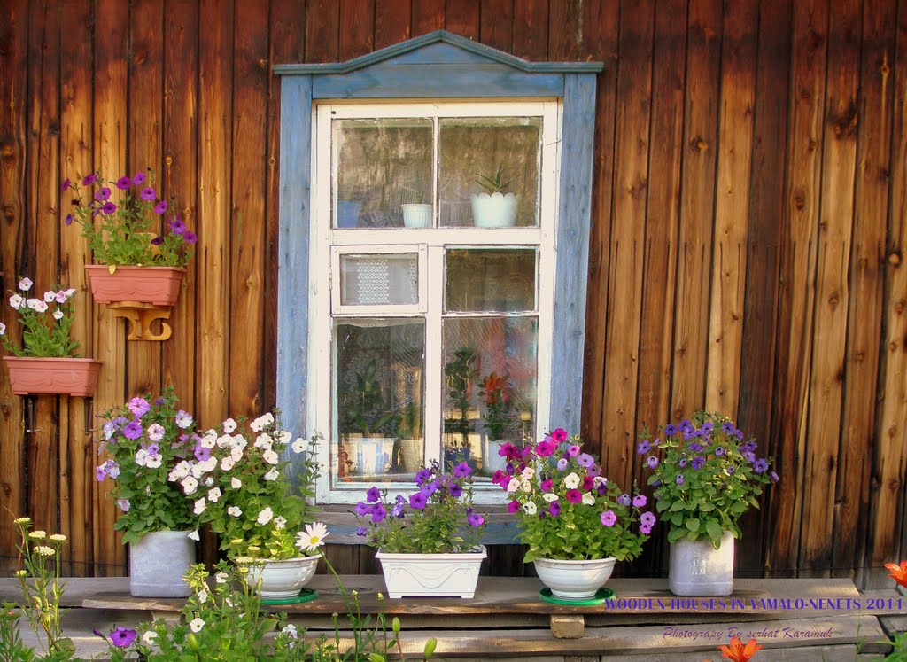 WOODEN HOUSES IN YAMALO NENETS 2011