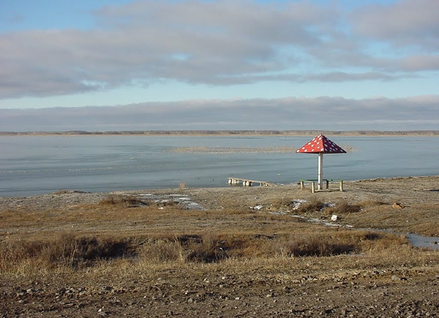 Sur le bord de la route, un drôle de parasol !