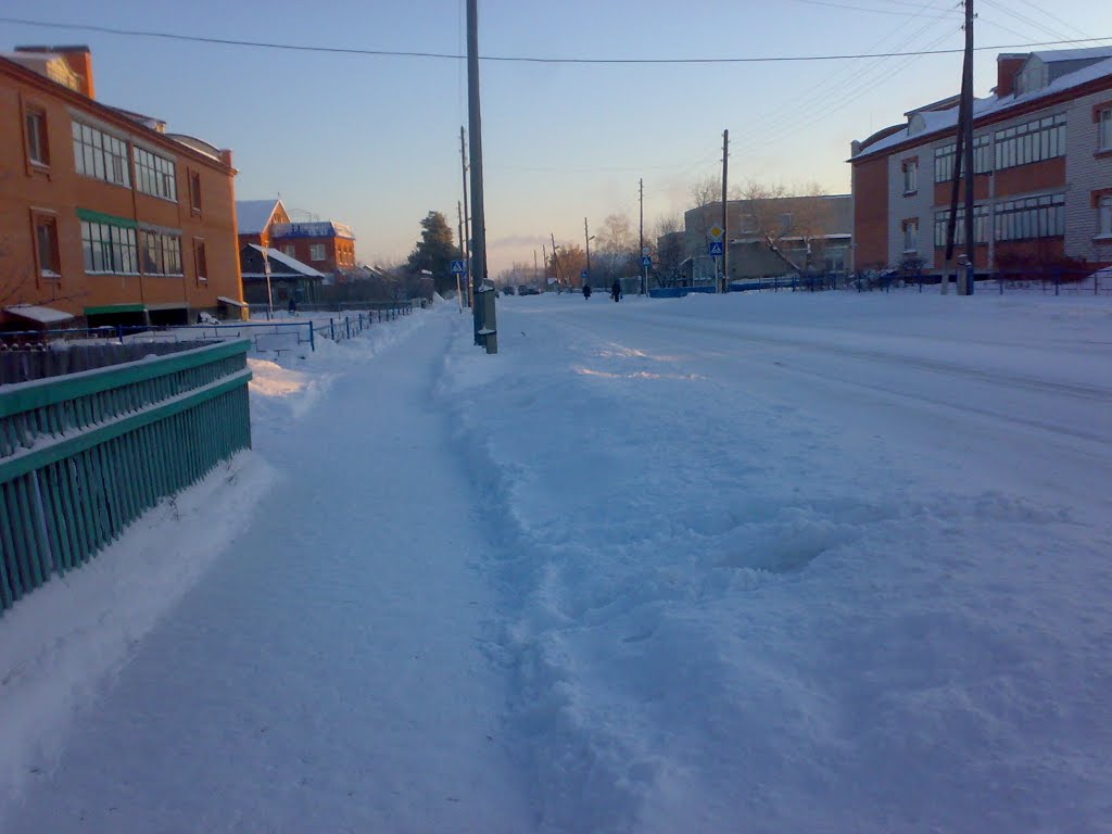 ул.Ленина -39гр.2010
