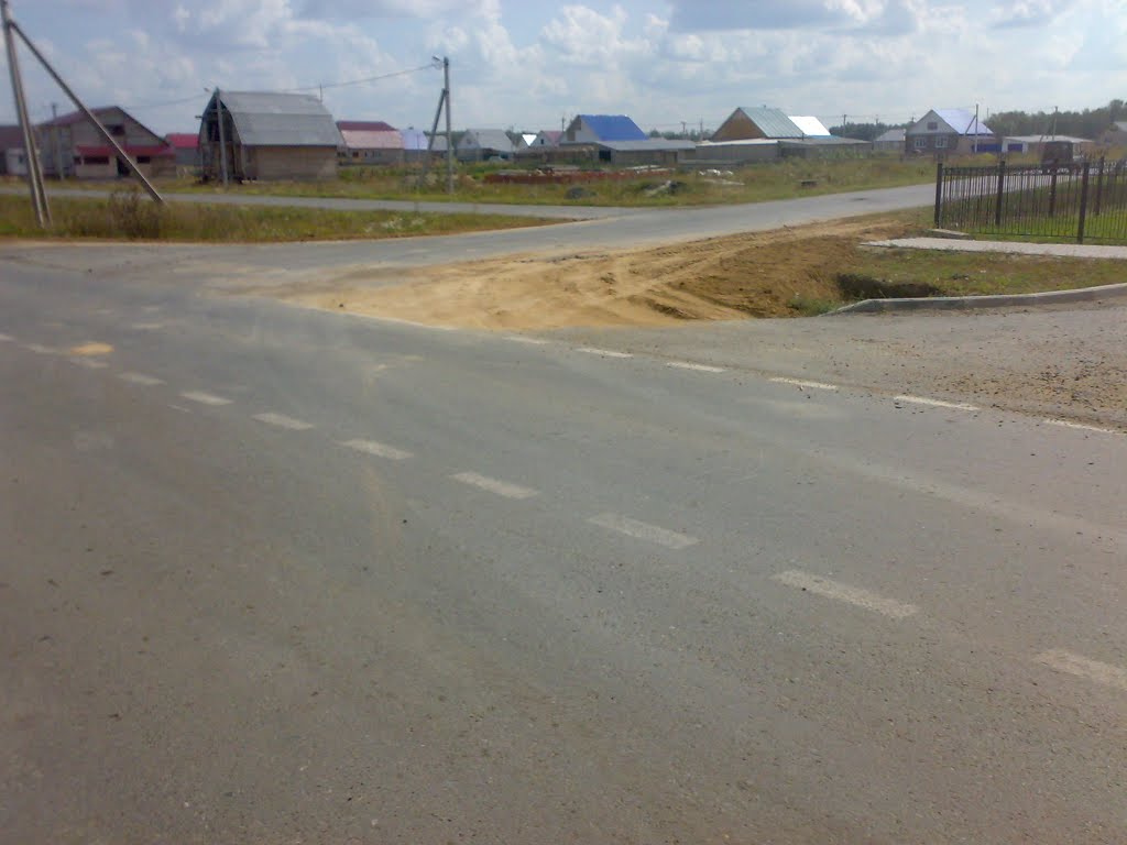 ИЖС 2009