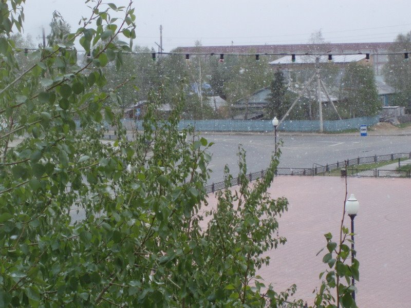 Гастелло, 43