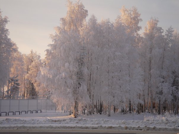 Зима в парке
