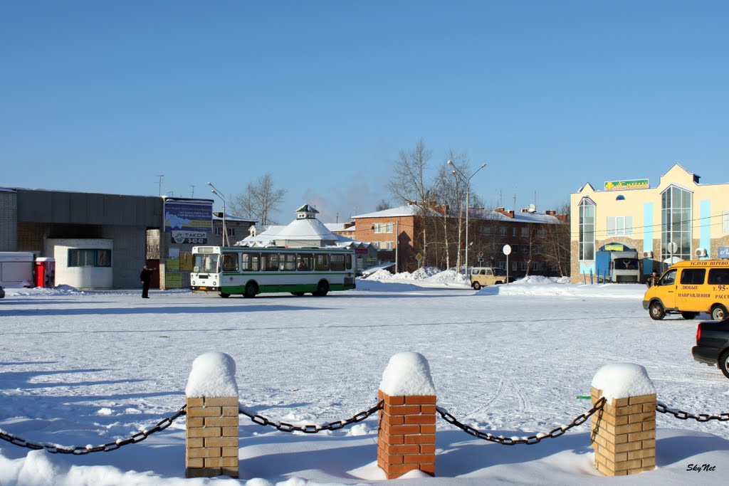 Привокзальная площадь (30.01.2011)