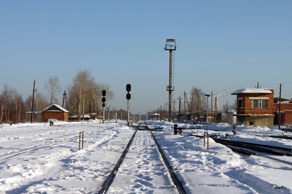 На север (30.01.2011)