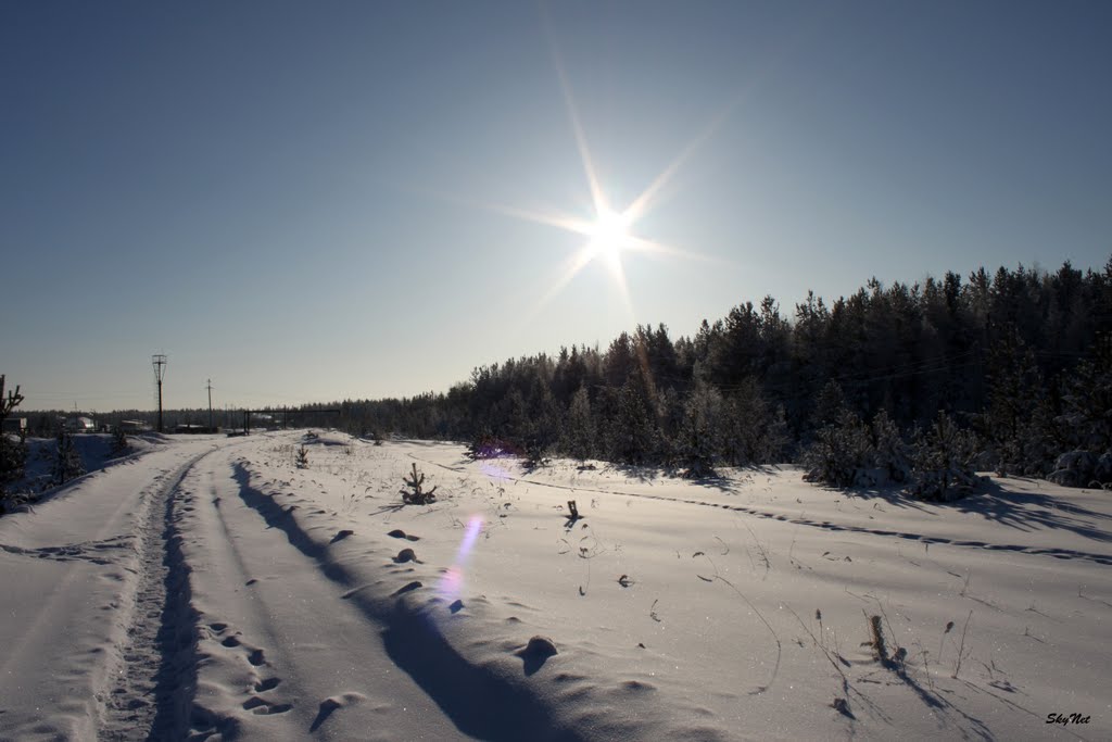 Тропа (30.01.2011)