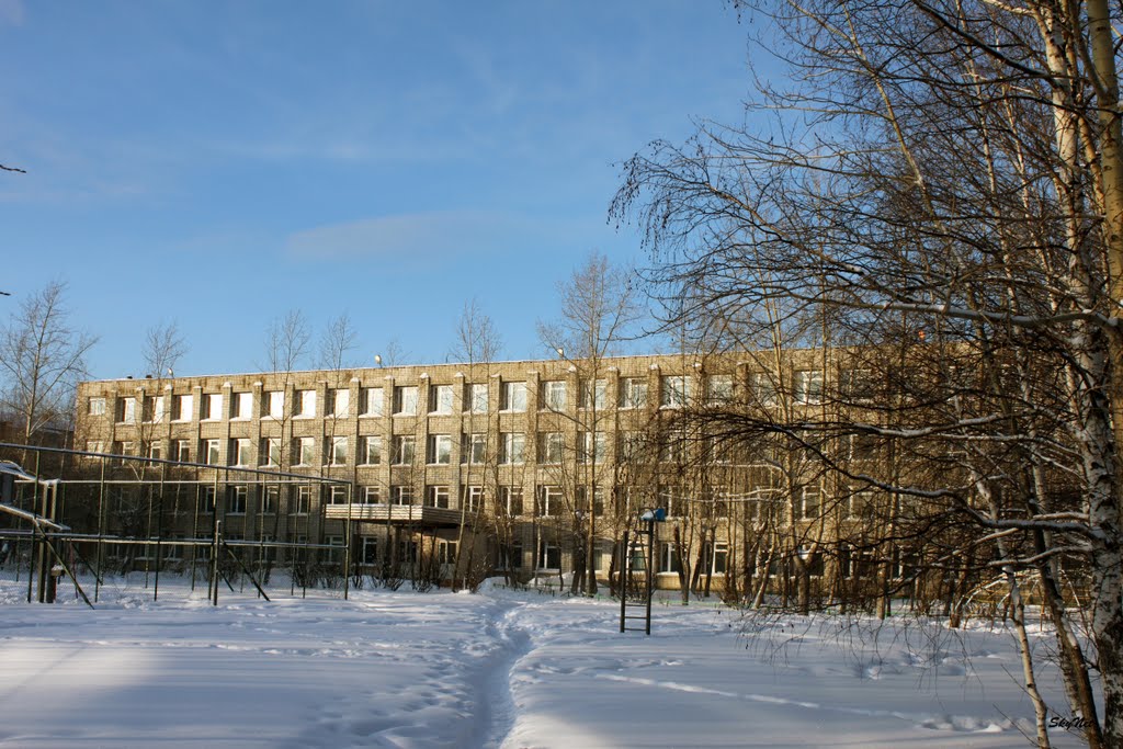Школа №1 (30.01.2011)