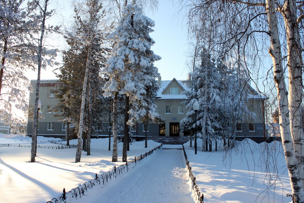 Гостиница "Олимп" (30.01.2011)