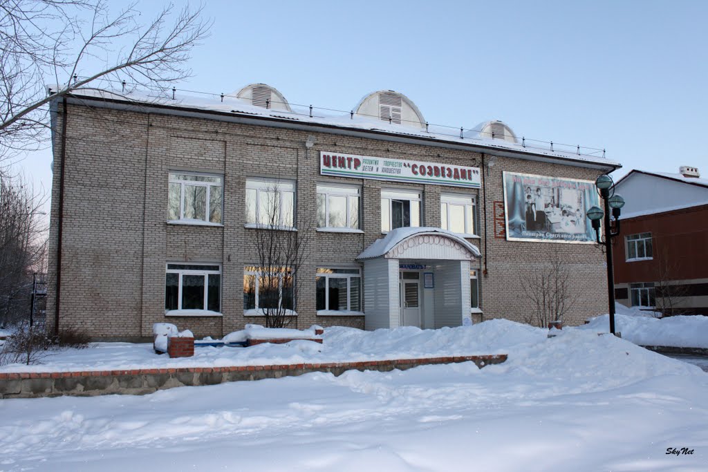 Детский центр "Созвездие" (30.01.2011)