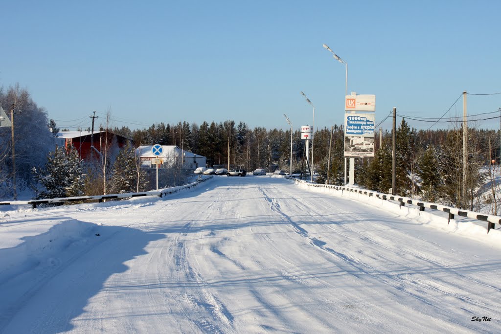 Дорога на УТТ (30.01.2011)