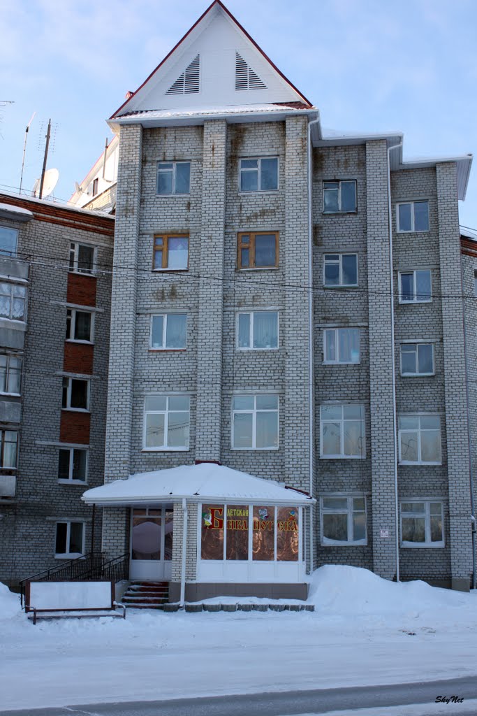 Детская библиотека (30.01.2011)