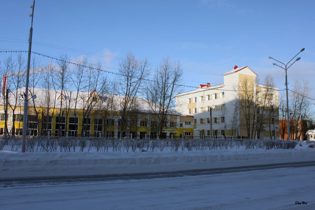 Профессиональный колледж (30.01.2011)