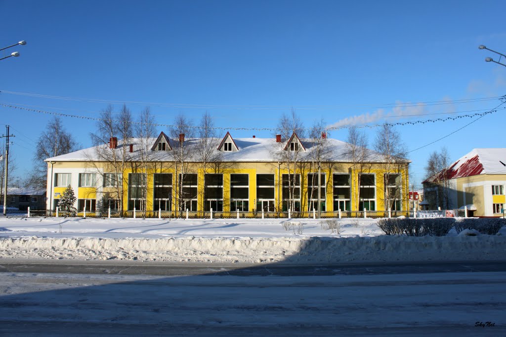 Корпус профессионального колледжа (30.01.2011)