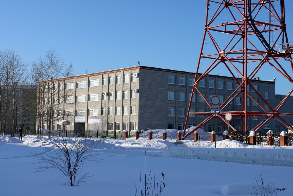 Гимназия (30.01.2011)