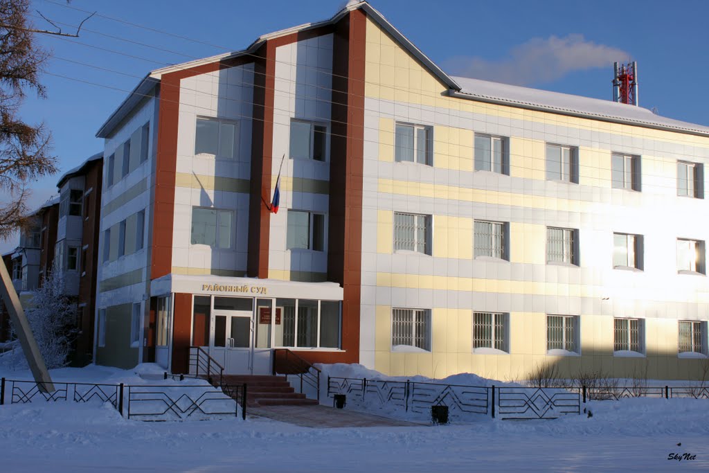 Советский районный суд (30.01.2011)