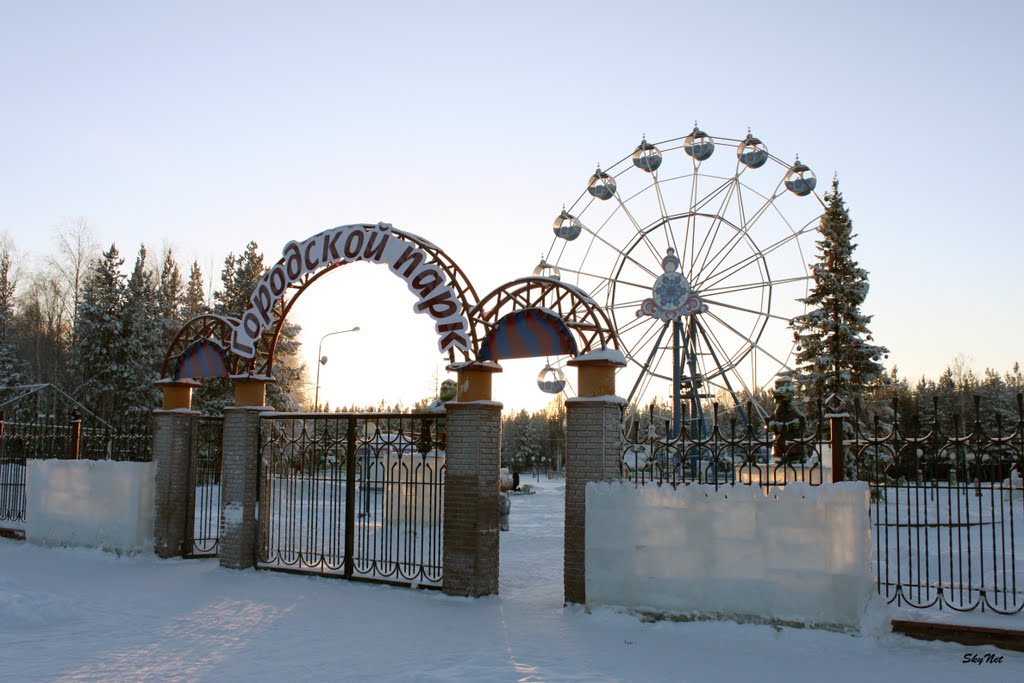 Городской парк (30.01.2011)