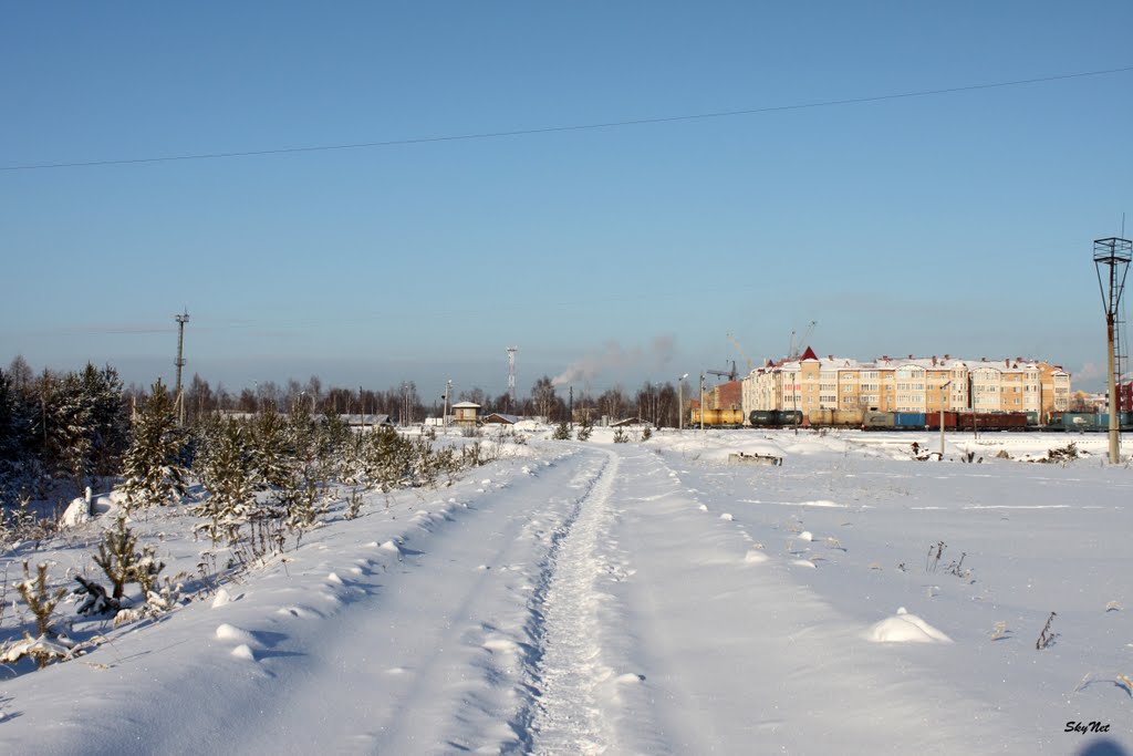Тропа (30.01.2011)