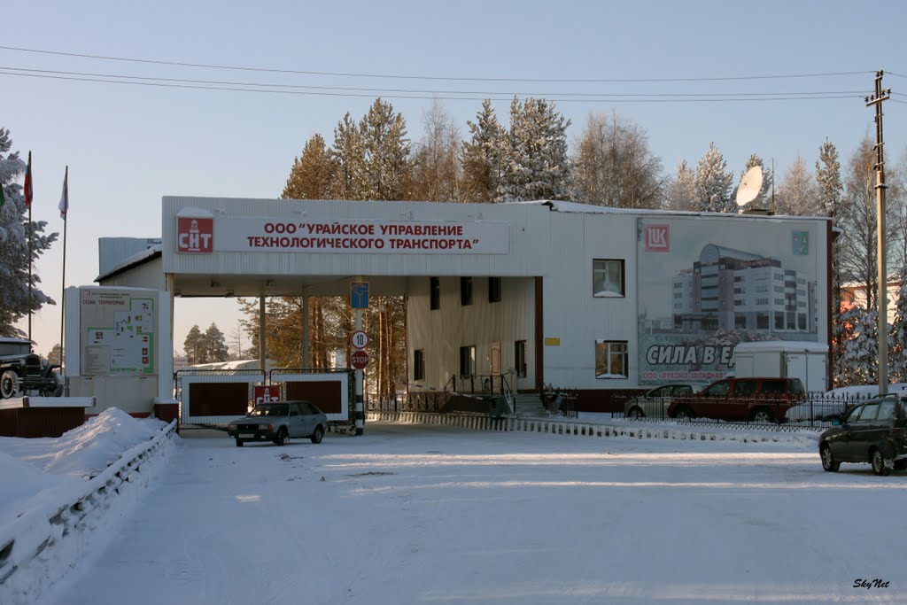 УТТ (30.01.2011)