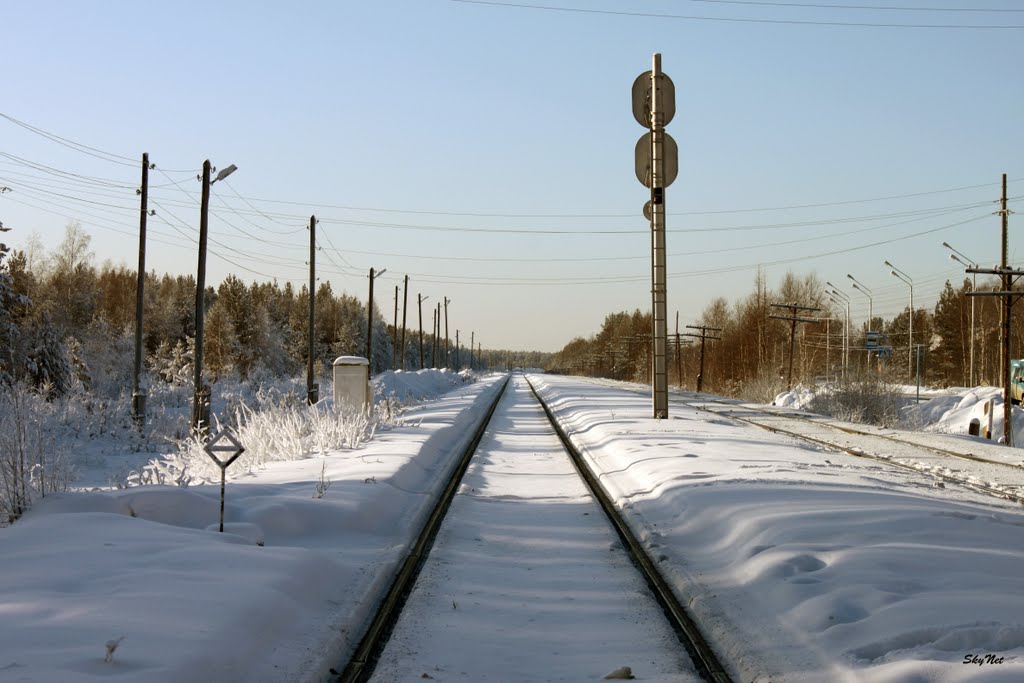 На юг (30.01.2011)