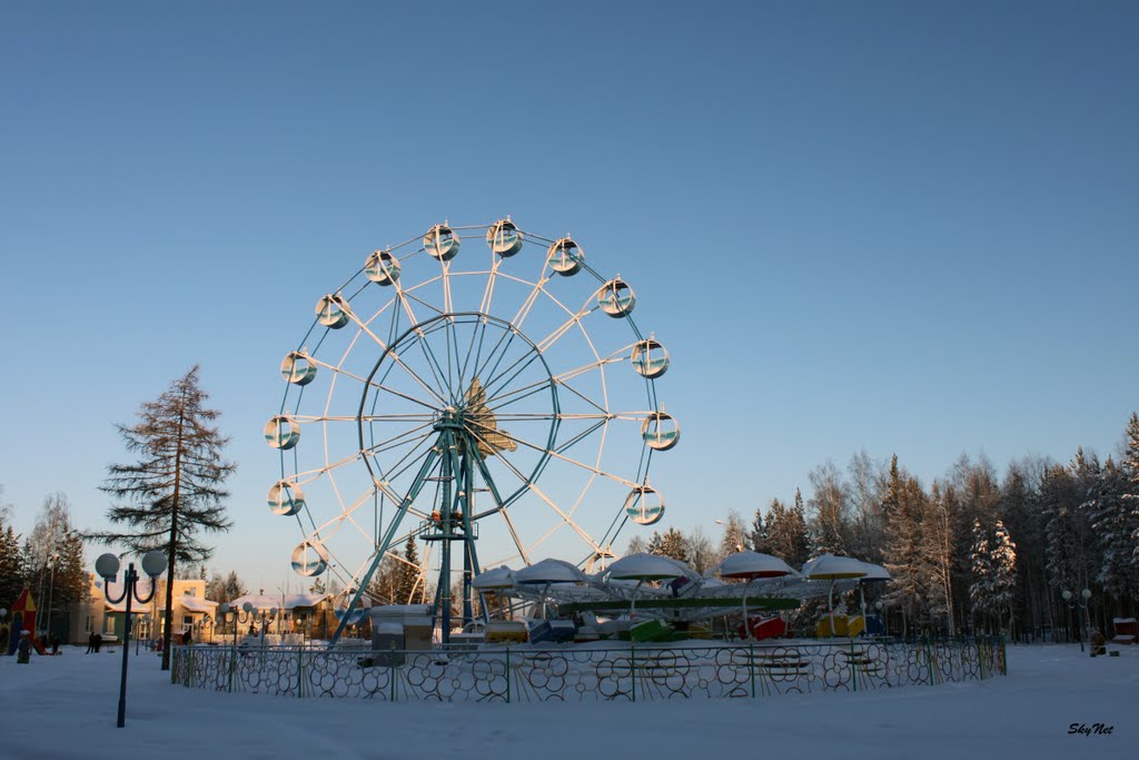 Атракционы (30.01.2011)