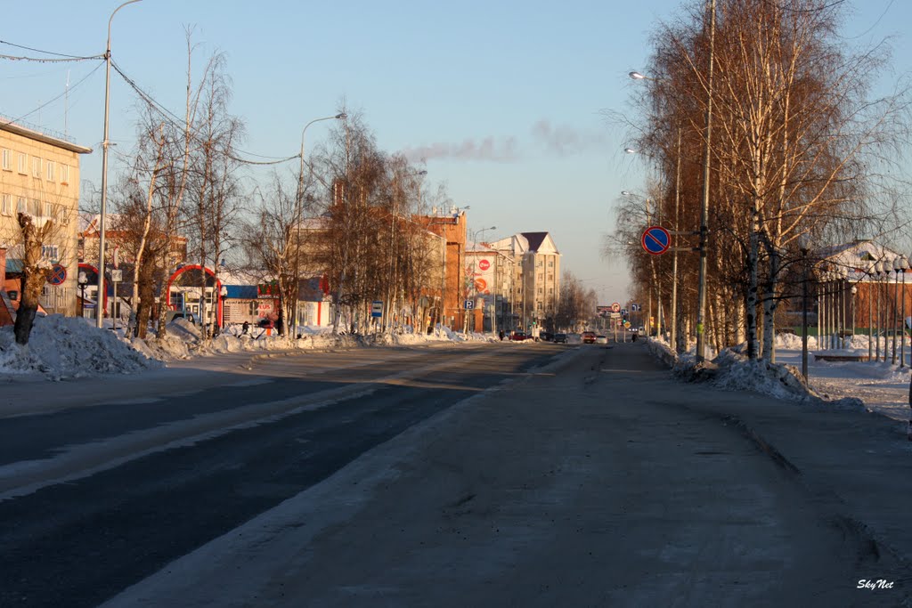 ул. Гастелло (26.02.2011)