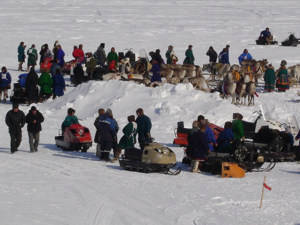 Day of the reindeer breeder  (translate.ru)