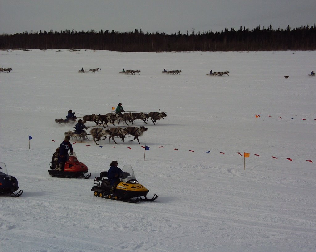 День оленевода, holiday of the reindeer breeder