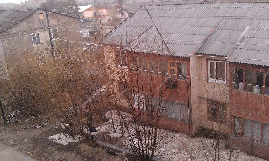 Тарко-Сале. Вид из окна. 24 мая 2012 года