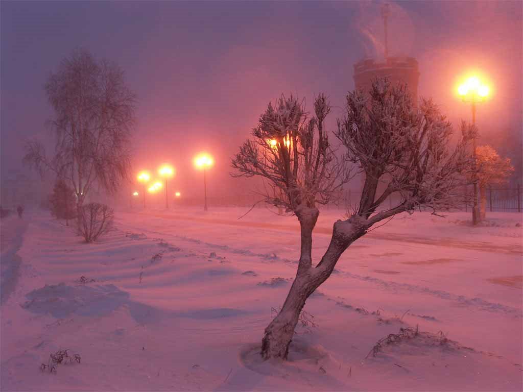 минус 40
