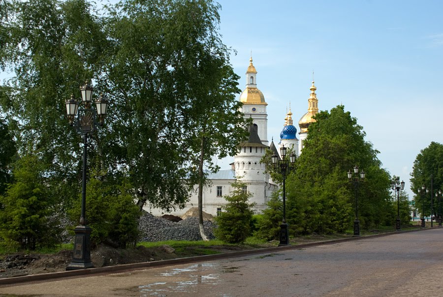 Вид на Гостиный двор и Софийско-Успенский собор / View of the Gostiny courtyard and the St.Sofia Assumption cathedral (14/06/2008)